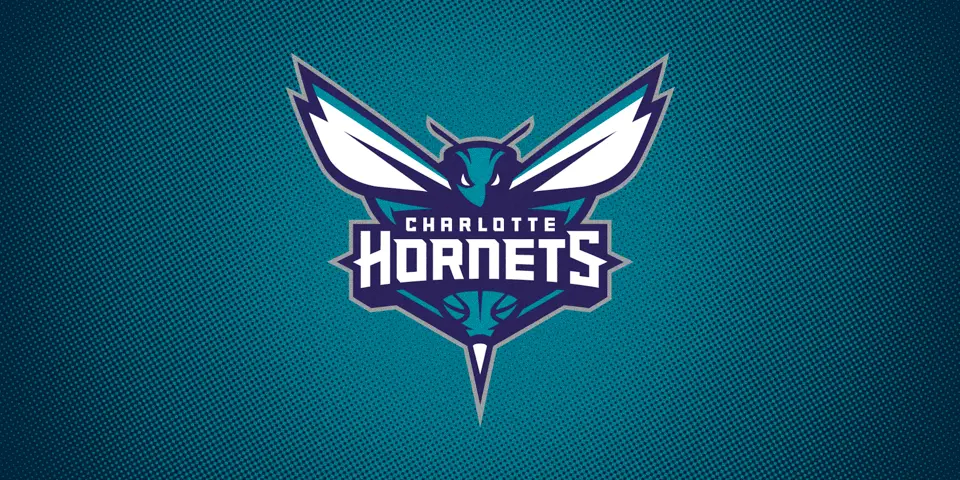 team logo Charlotte Hornets