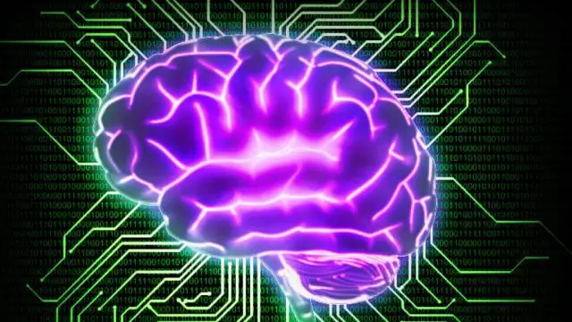 Neuralink wireless brain chip