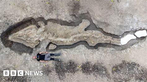Fossil reveals 240 million year-old 'dragon