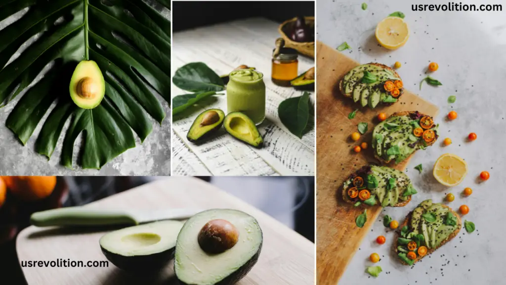 Avocado • Healthy diet • Nutrient