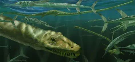 Fossil reveals 240 million year-old 'dragon