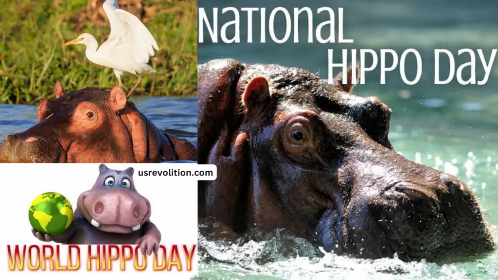 world hippo day