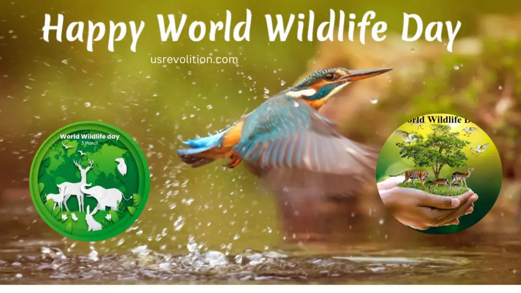 World Wildlife Day 2024: Unveiling the Date, Theme, Historical Roots, and Profound Significance