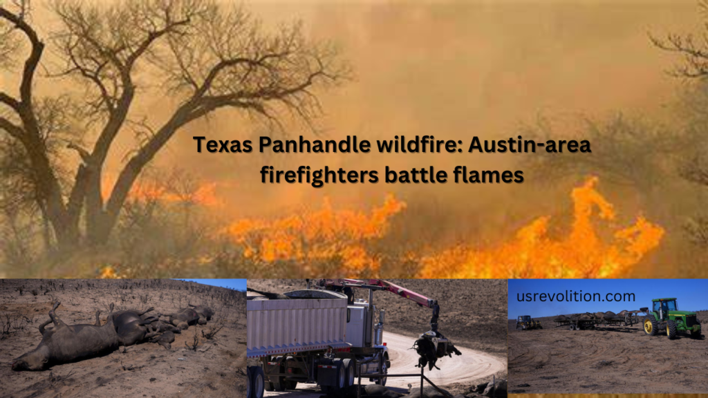 Texas Panhandle wildfire: Austin-area firefighters battle flames